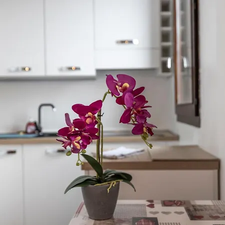 Oasi In The Center Apartamento *